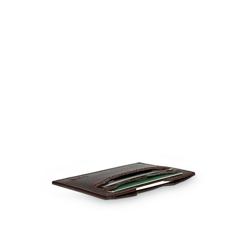 Palma_laying_1200x
